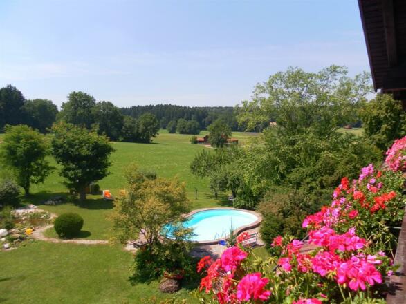 Pool im Garten