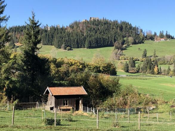 Burgruine Eisenberg