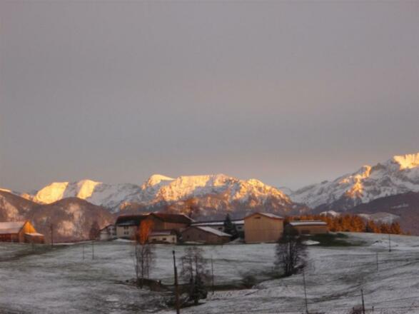Blick von Terasse