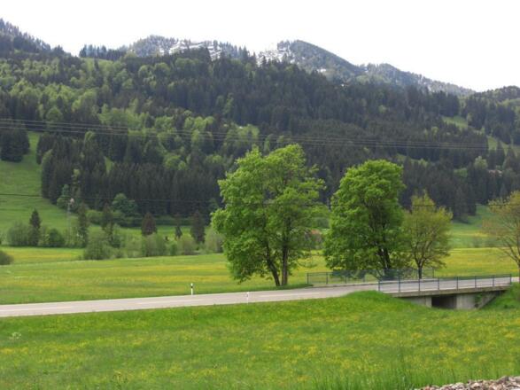 Ausblick von der Ferienwohnung im Sommer