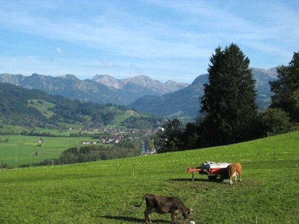 Panoramablick