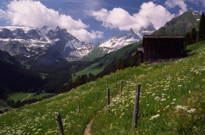 Landschaft