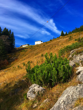 Zwieselalm