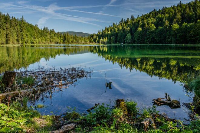 Frillensee Inzell - Ruhe