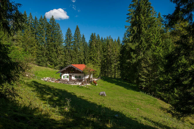 Moar Alm Inzell - Wildenmoos