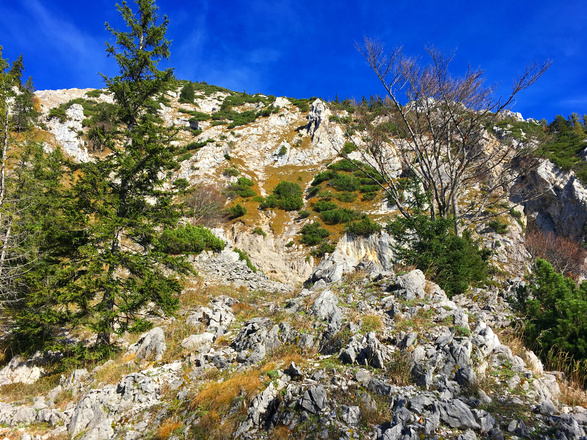 Wanderweg Hochstaufen