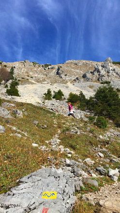 Wanderweg Staufen/Zwiesel