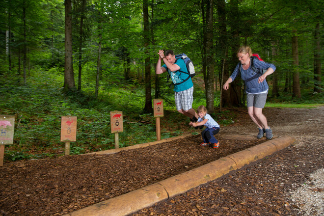 Bergwald-Erlebnispfad: mit den Waldbewohner um die Wette springen