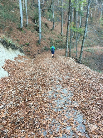 Zwieselwanderung