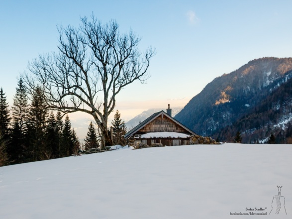 die Koch Alm