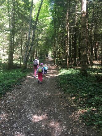 Wanderweg Frillensee