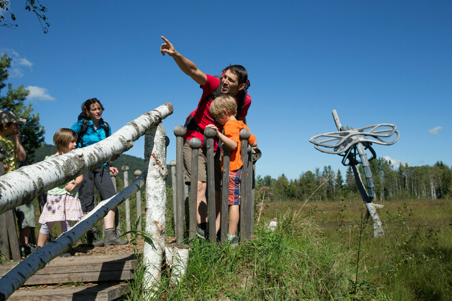 Moor-Erlebnis-Pfad: Sonnentau &quot;B&quot;lattform