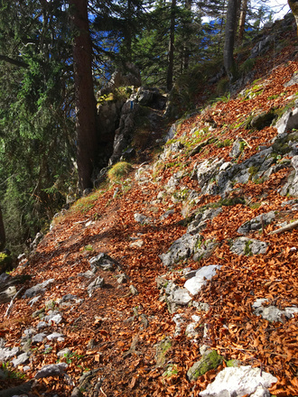 Blauer Steig Richtung Zwieselalm