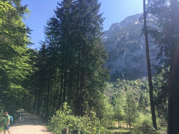 Wanderweg Frillensee