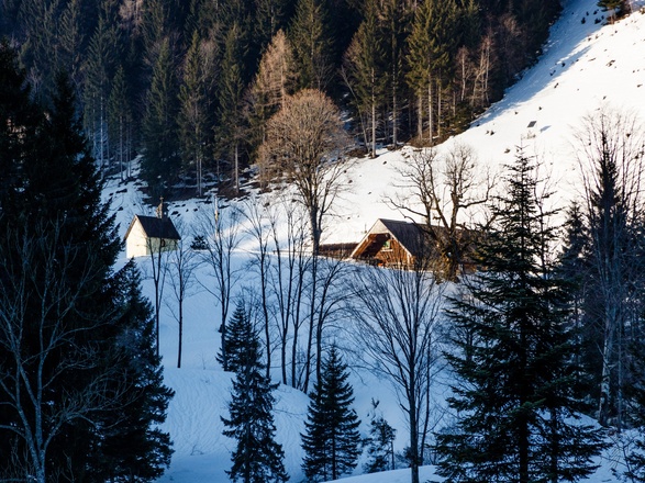 die Steiner Alm lässt man rechts liegen