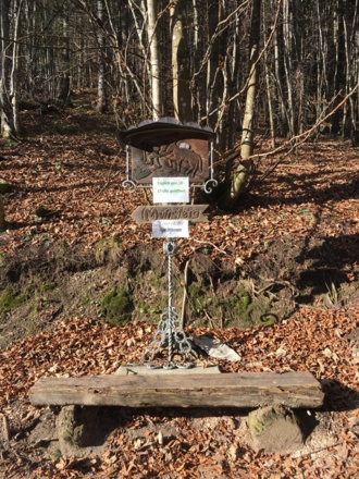 Zwieselwanderung