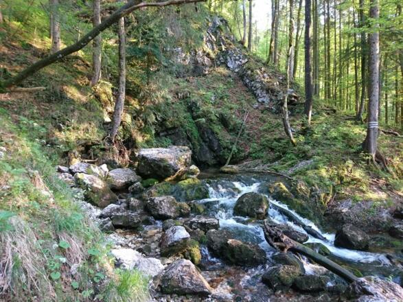 die Weißbachquelle (Wasserloch)