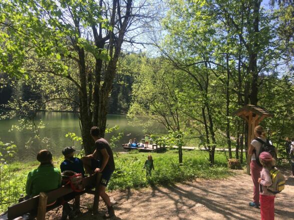 Wanderweg Frillensee