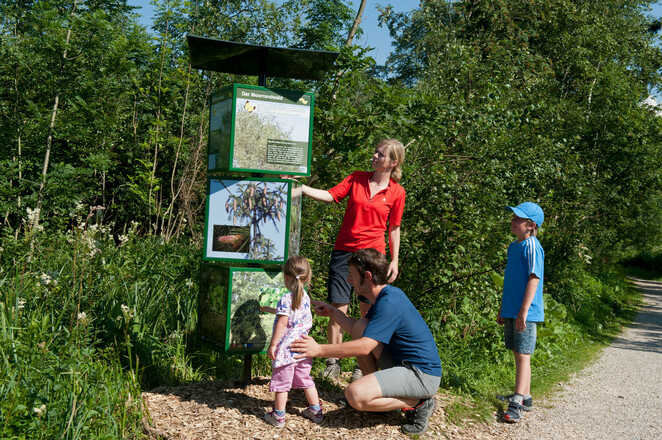 Moor-Erlebnis-Pfad: Der Moorrandwald