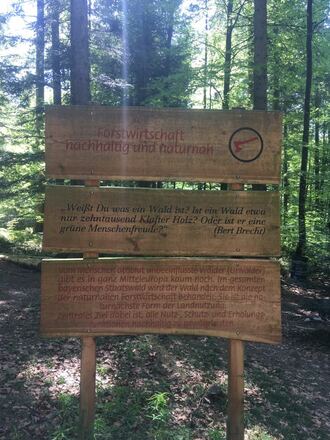 Wanderweg Frillensee