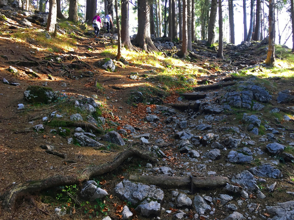 Wanderweg Staufen Zwieselalm