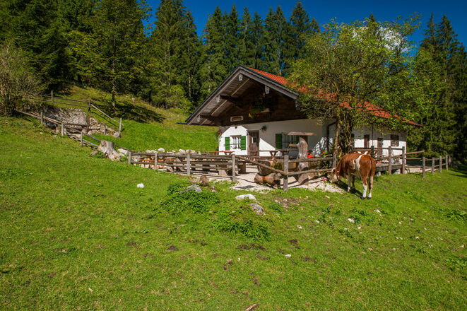 Moar Alm Inzell - Almidyll