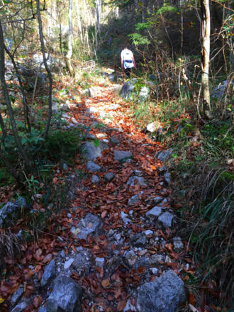 Wanderweg Staufen Reichenhaller Haus