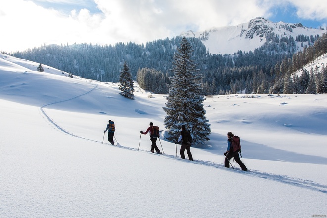 Untere Freudenreichalm