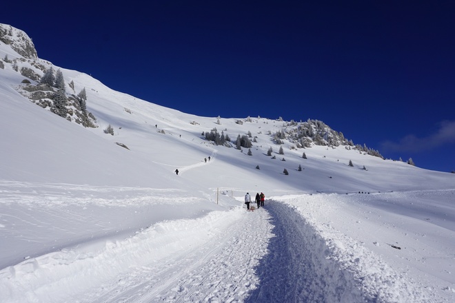 Zwischen der Wildfeldalm und dem Rotwandhaus