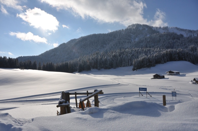Direkt vor der Haustüre der Albert-Link-Hütte: Eine top gepflegte Langlaufloipe