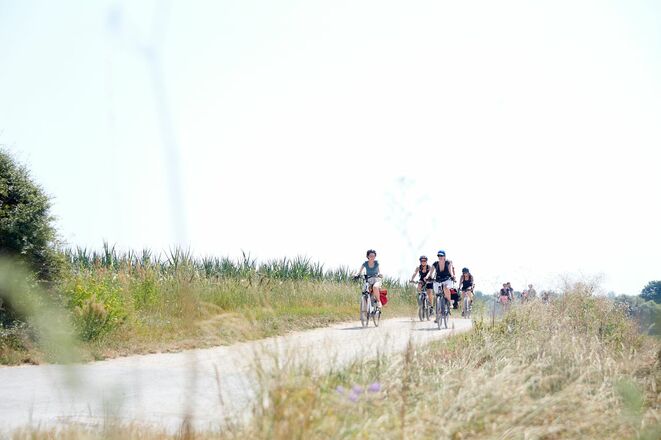 Radeln bei Veitsbronn