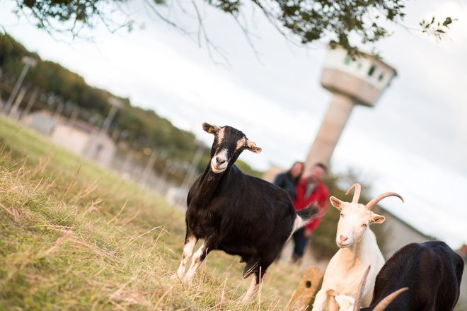 Ehemaliges Militärgelände