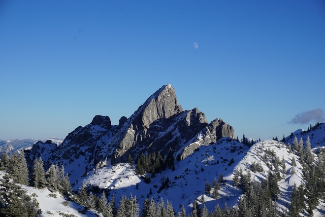 Blick auf die Ruchenköpfe (mittlerer Gipfel 1805 m)
