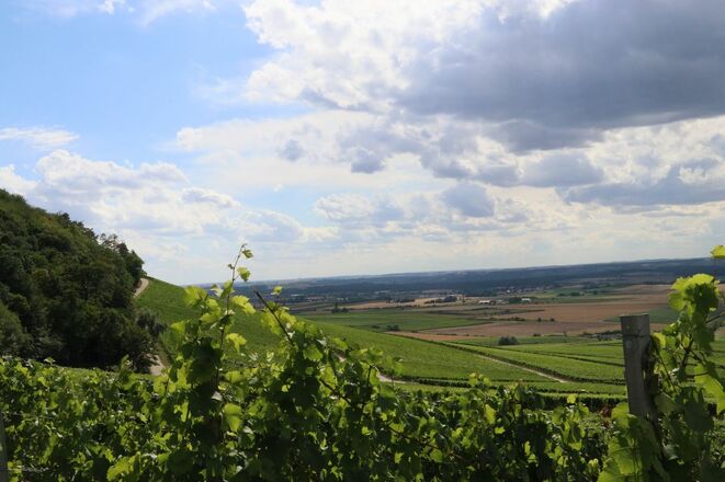 Blick auf den Schwanberg