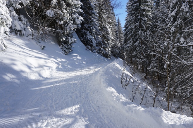 Toller geräumter und präparierter (Rodel)Weg