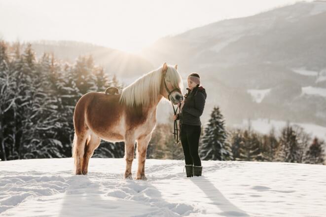 Reiterhof Krenn - Edtbauer