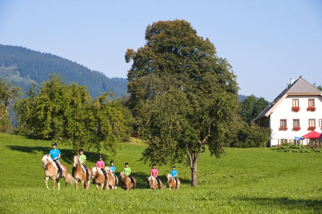 Reiterhof Krenn - Edtbauer