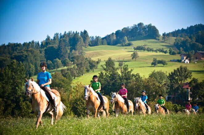 Reiten bei Weyer im Pferdeland Nationalpark Kalkalpen