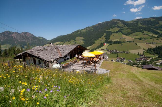 Böglalm im Sommer