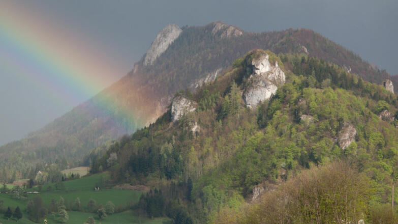 Klettergarten Obere Nußwand - Losenstein