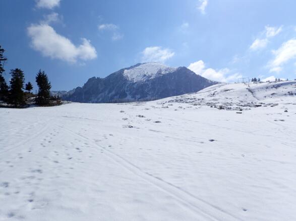 Aufstieg ungefähr am Sommerweg