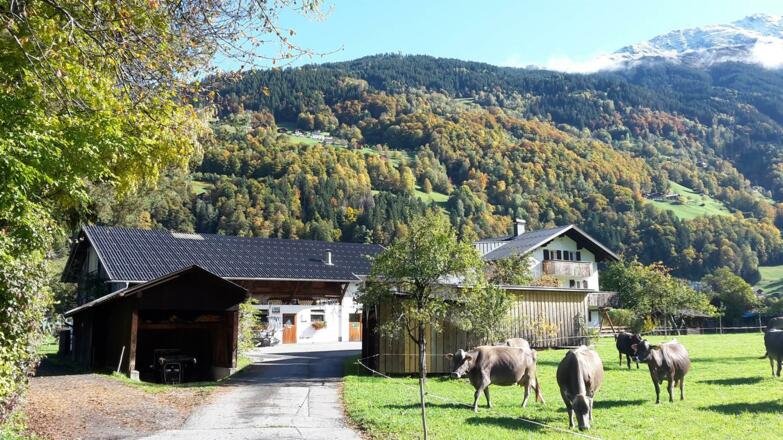 Hof im Feld der Heumilchbauernhof im Herbst