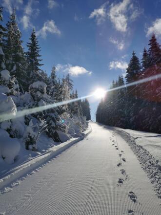 Winter_2021_4