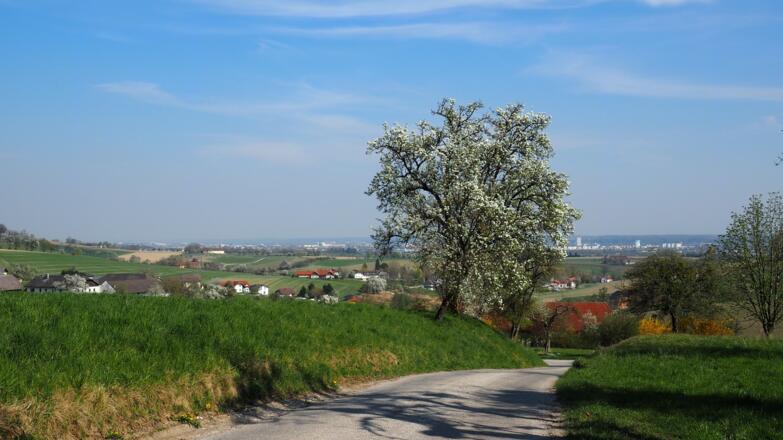 Fernreith bei Wels