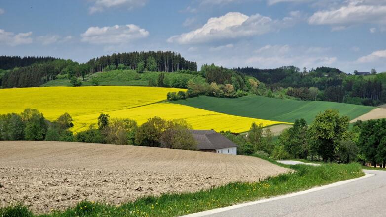 bei Pichl bei Wels