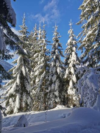 Winter_2021_6