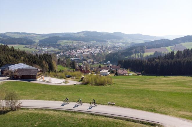 Mountainbiken in Haslach an der Mühl