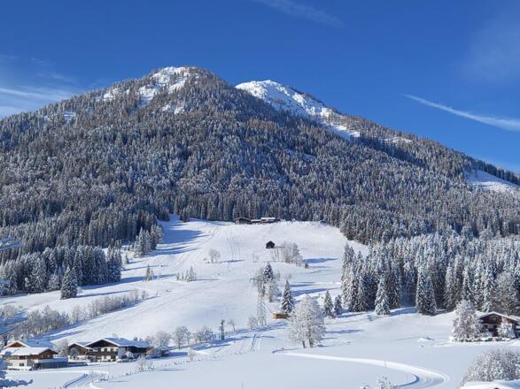 Winter_2021_3