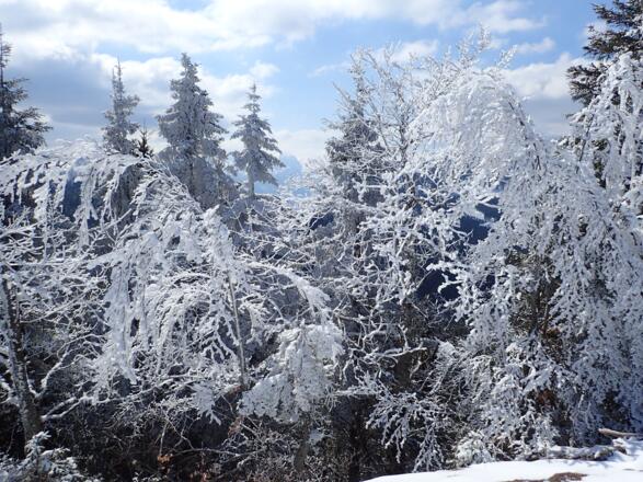 Angezuckert - die Aussicht am Gipfel ist etwas eingeschränkt