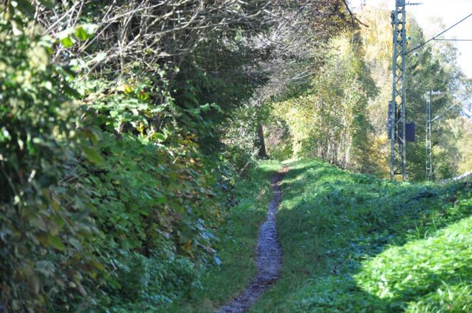 Pfad am Panoramaweg zwischen Grafrath und Kottgeisering